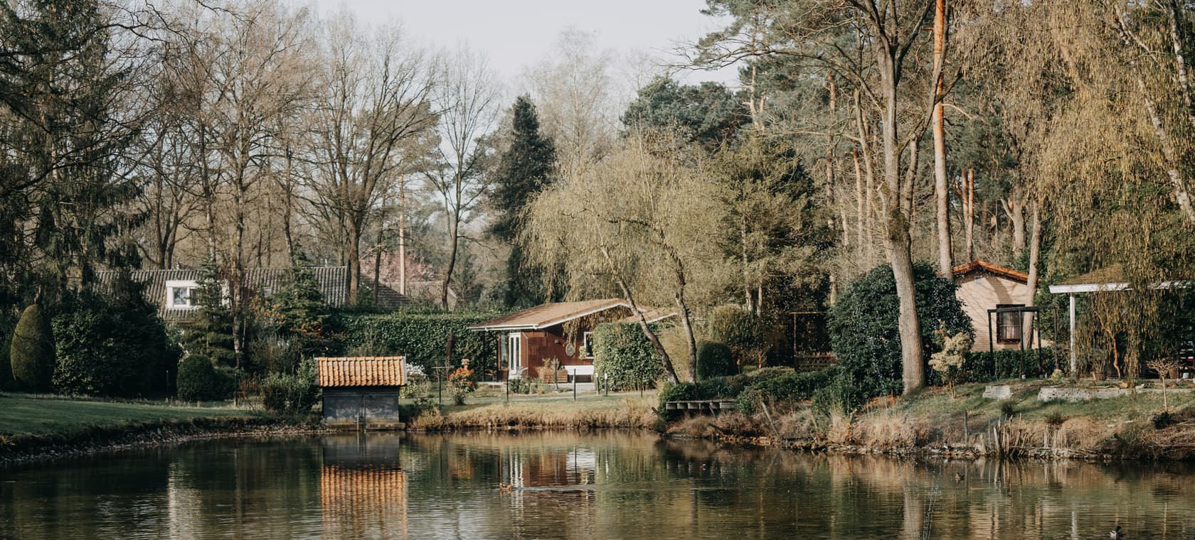 Header afbeelding